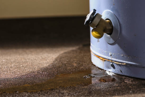Best Local water damage restoration  in Kalaheo, HI