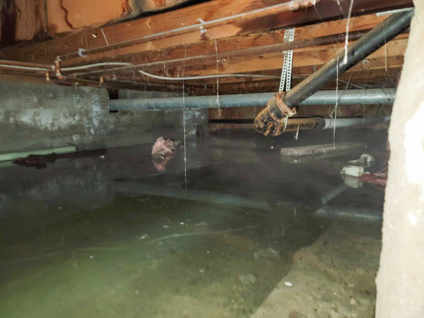 24/7 water damage repair in Kalaheo, HI