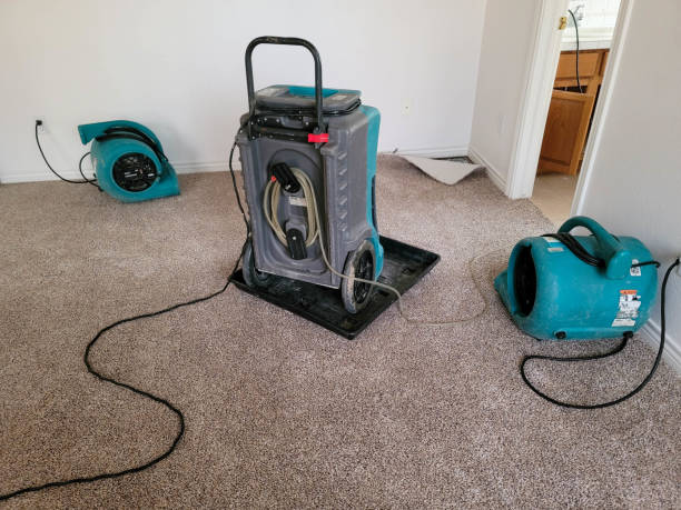 Best Commercial water damage restoration  in Kalaheo, HI