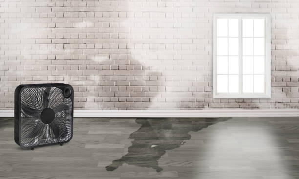 Water damage restoration experts in Kalaheo, HI