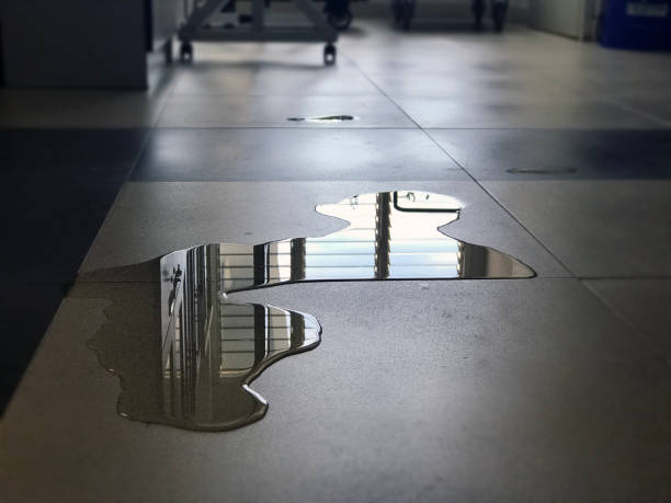 Best 24-hour water damage restoration  in Kalaheo, HI