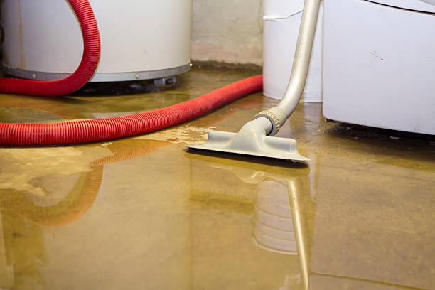 Best Emergency water damage restoration  in Kalaheo, HI