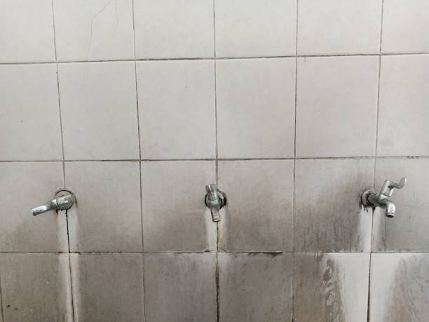 Best Professional water damage repair  in Kalaheo, HI