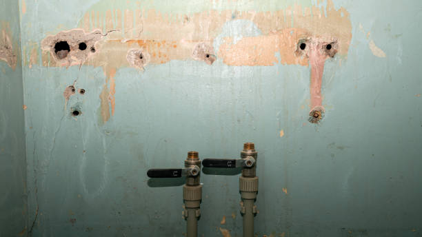 Kalaheo, HI Water damage restoration Company
