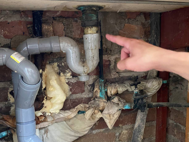 Best Carpet water damage restoration  in Kalaheo, HI