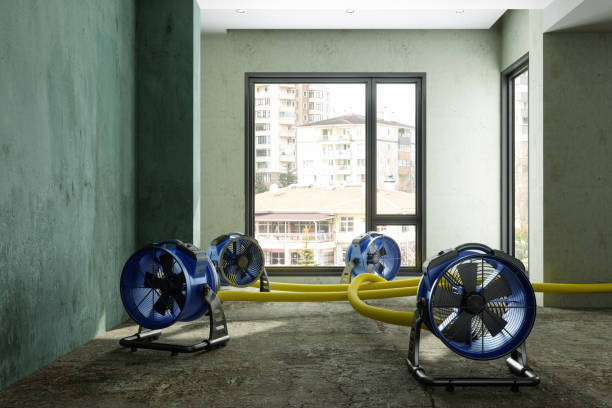 Best Water damage contractors near me  in Kalaheo, HI